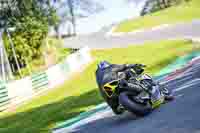 Advanced Group Yellow Bikes